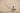 Daniel Cheung CPF2nlWcMY4 Unsplash