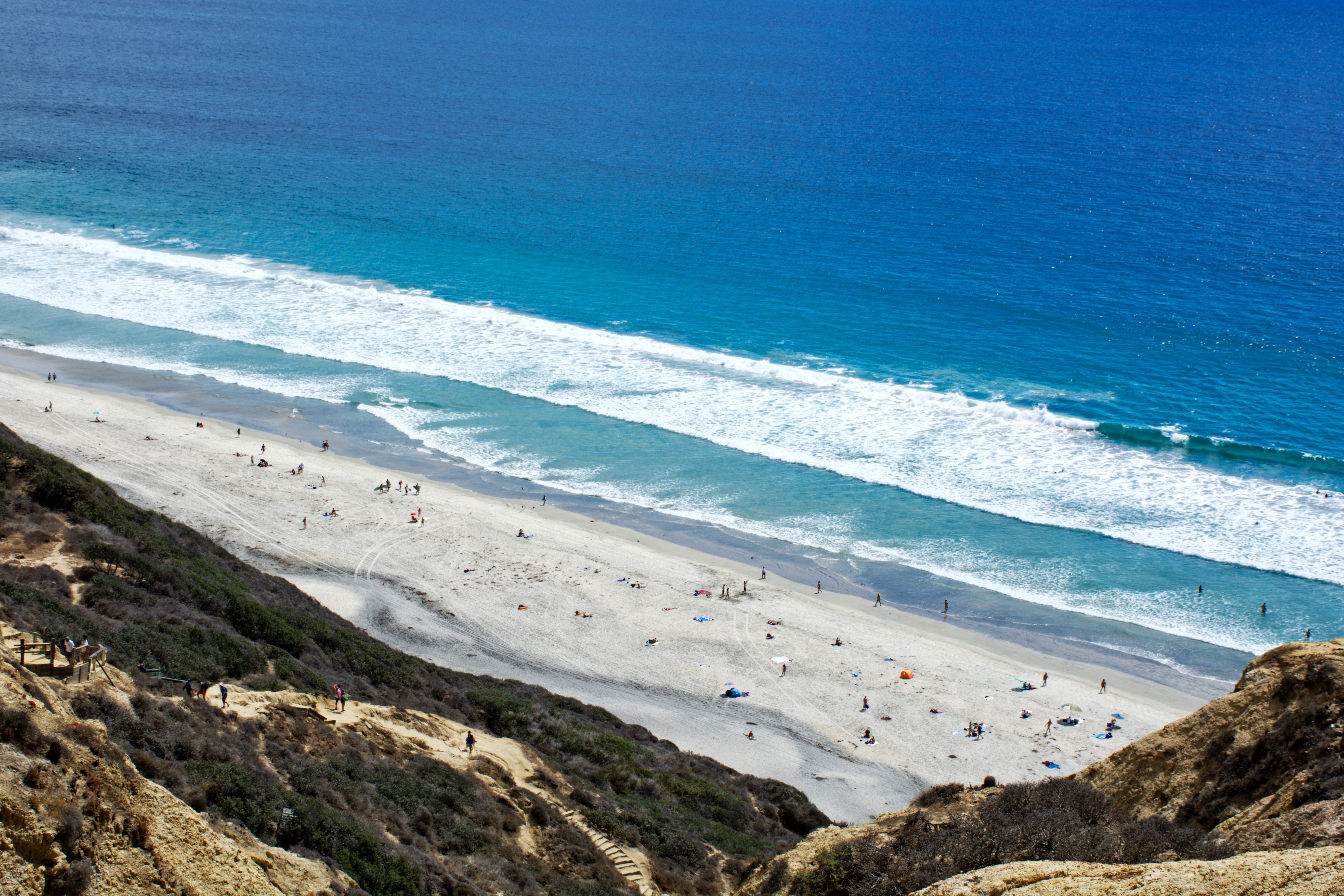 Guide To The Best Beaches in San Diego - Top Rated Hostels in San Diego