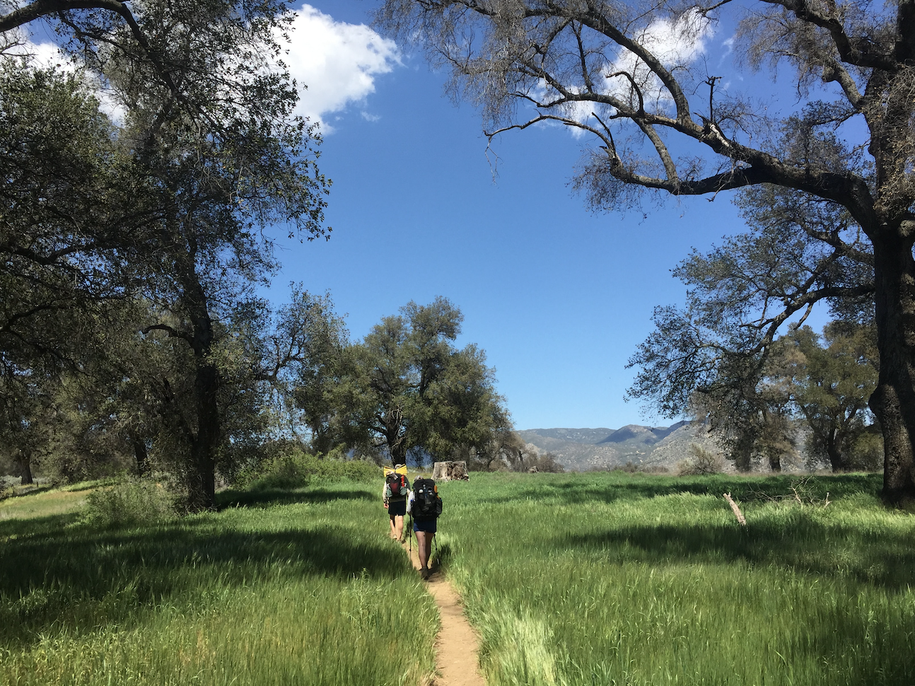 Pacific Crest Trail To Big Bear