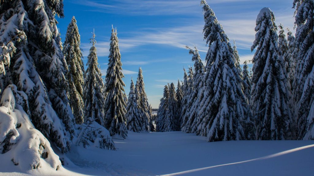 Big Bear Snow February