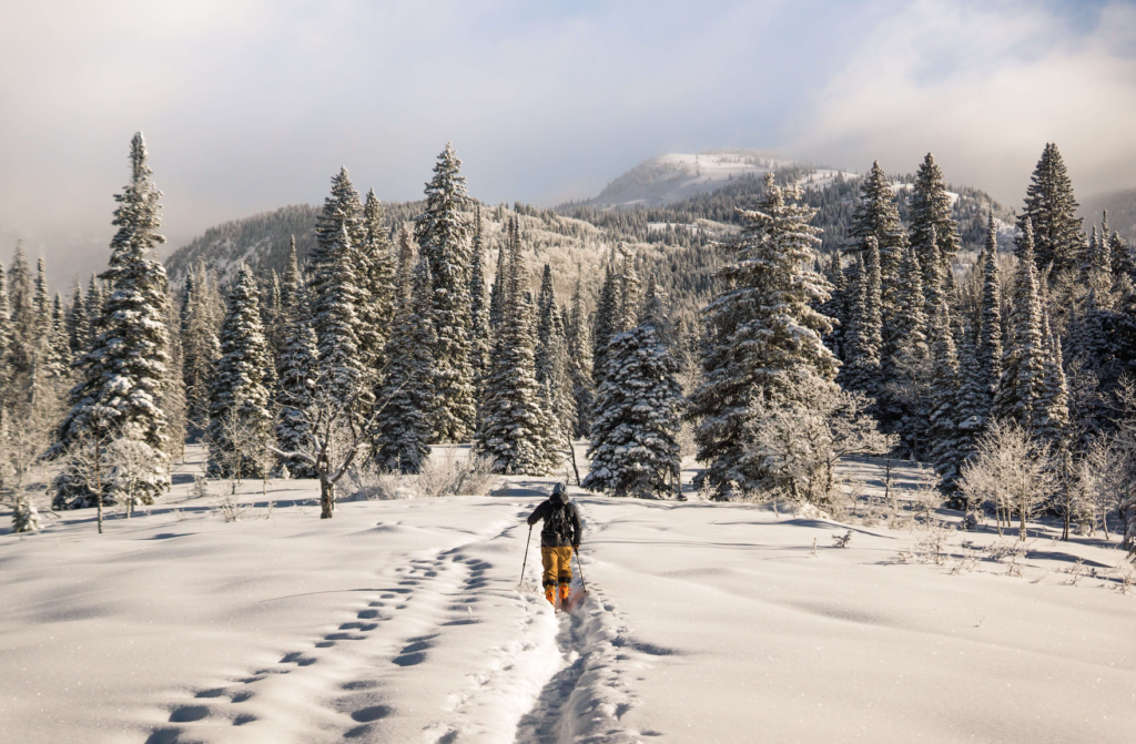 Big Bear Cross Country