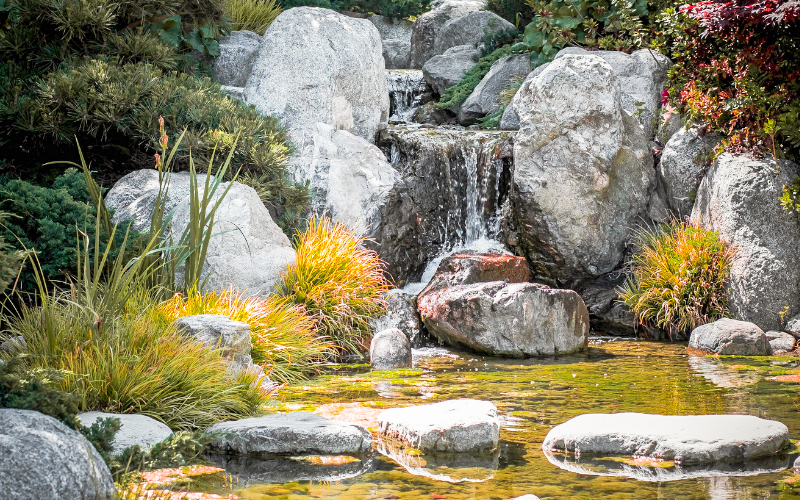 The Must-See Gardens of San Diego - San Diego's Best Gardens