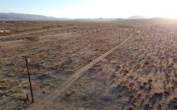 joshua tree sunset june