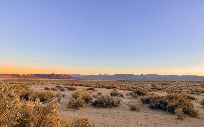 joshua tree sunset june