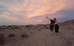 Joshua Tree in July