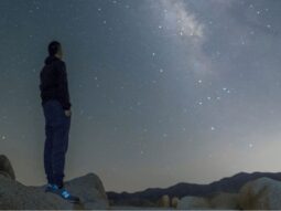 joshua tree august