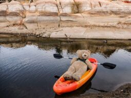 big bear in august