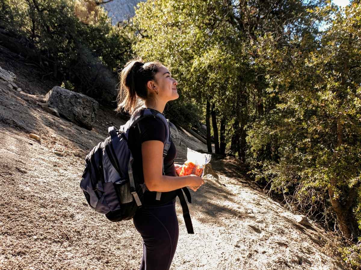 Big Bear Lake Local Hikes