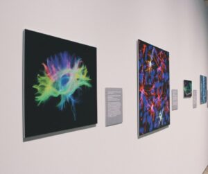 museums in santa barbara