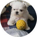 이을순TV달콤이 보호자 profile picture