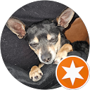 Vegas G. profile picture