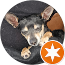 Vegas G. profile picture