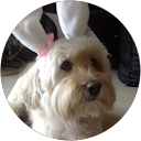 Roro Moorthy profile picture