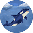 Simon Mierzwinski 2 profile picture
