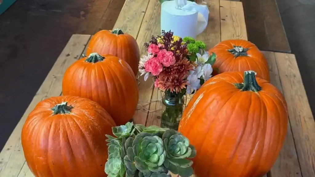 pumpkin for halloween